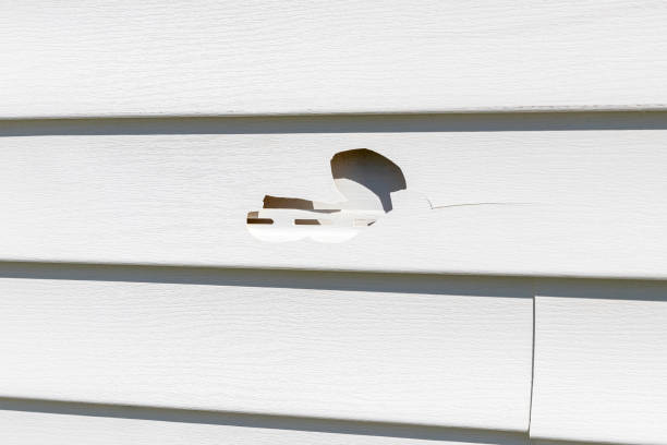 Reliable Surfside, FL Siding Solutions